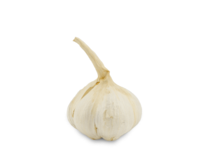 aglione vdc